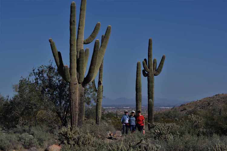debi, judi, carol